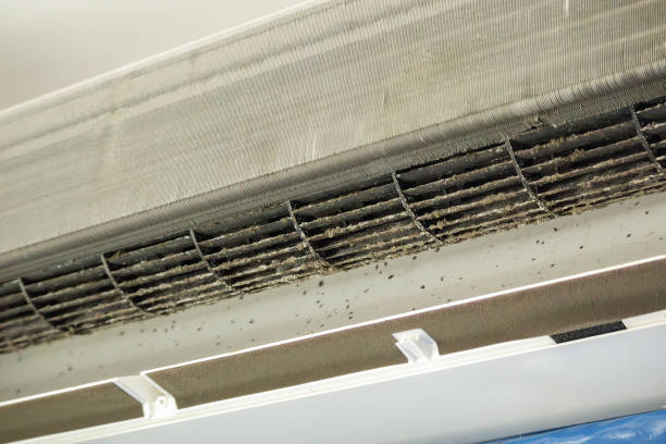 Best Air Duct Cleaning Near Me in Oconomowoc, WI